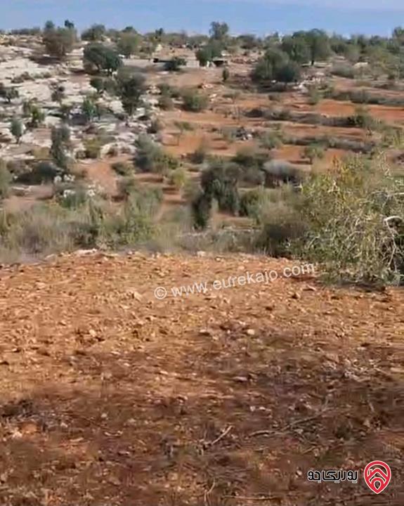 أرض مساحة 5 دونم و 603م للبيع في اربد - ملكا