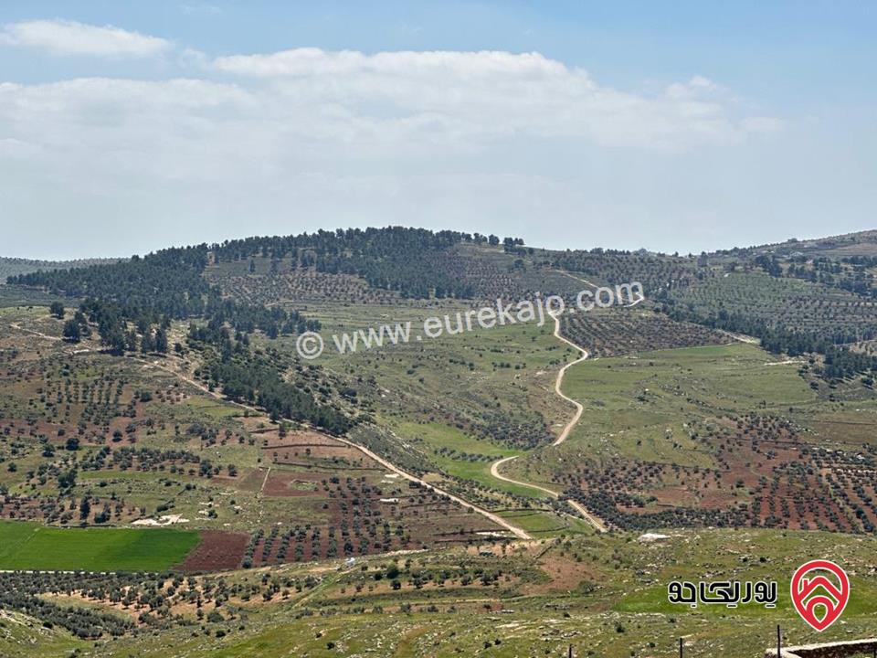 مزرعة مساحة الأرض 4 دونم و 398م والبناء 230م للبيع في جرش - قفقفا