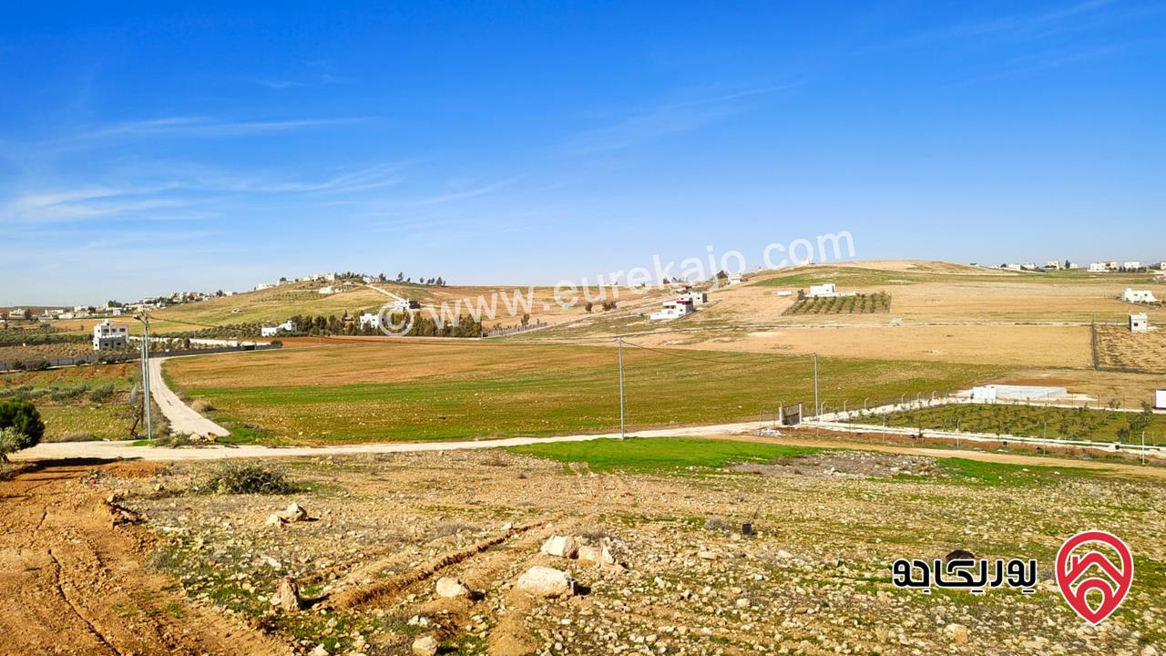 ارض مساحة 3 دونم و 750م للبيع في المفرق - بلعما