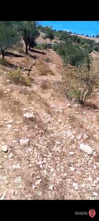 قطعة ارض مساحة 2 دونم و 240م للبيع في عجلون عنجره القاعده