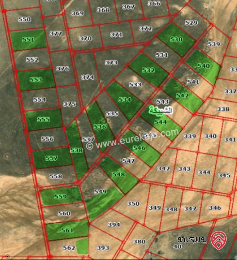 ارض مساحة 10 دونم للبيع في المفرق - الشبيكة حوض وادي سلمى من اراضي المفرق البادية الشمالية