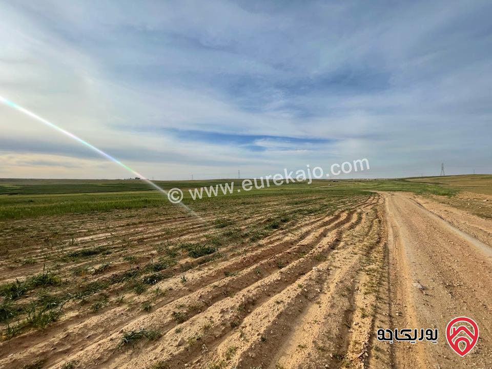 أرض مساحة 21 دونم و 400م للبيع من أراضي شرق عمان - الماضونة قرب جمرك عمان الجديد 