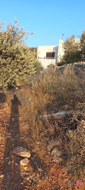 قطعة ارض مفروزة 517م للبيع في عمان - بدر الجديدة