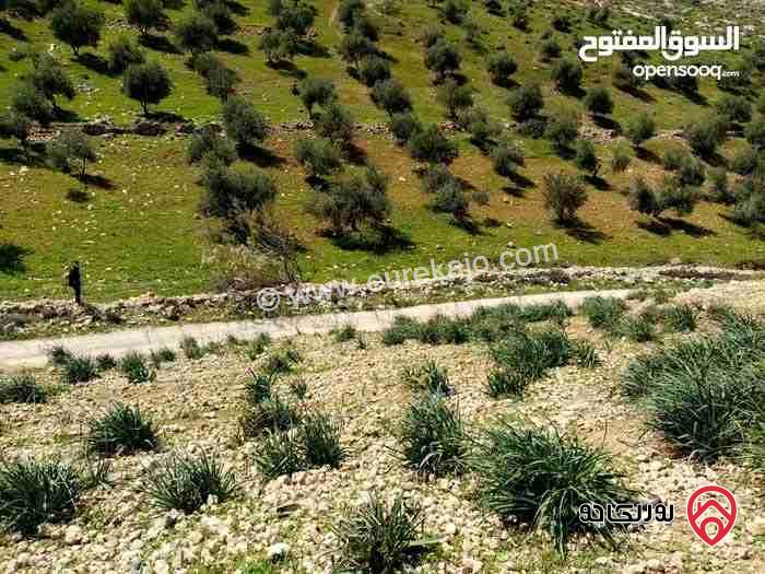 أرض مساحة 812م للبيع في جرش مرصع على حدود أراضي عمان 