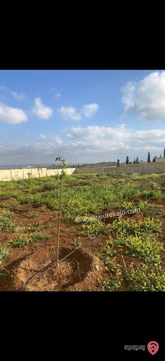 قطعة أرض مساحة 2 دونم عليها منزل غير مشطب 200م للبيع في الزرقاء - جريبا