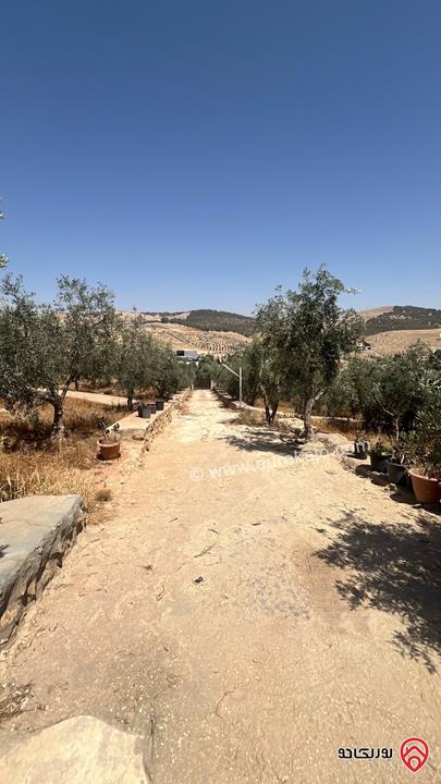 مزرعة مساحة 9 دونم و 708م للبيع في البلقاء - بمنطقة تل الرمان بالقرب من مطعم خيل و ليل 