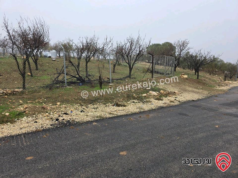 أرض مساحة 750م للبيع في عمان - ناعور