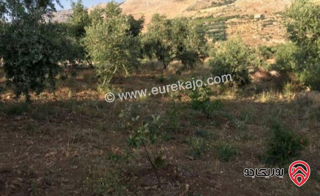 ارض مساحة 3 دونم و 427م للبيع في السلط 