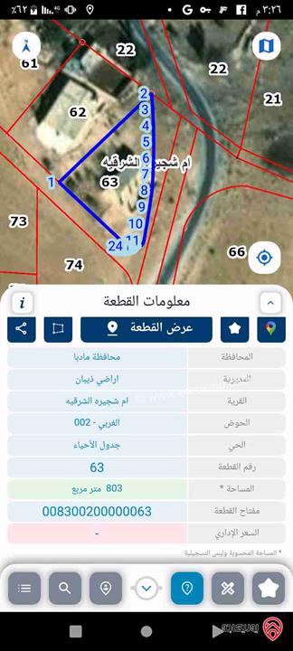 منزل قديم مساحة 50م على أرض 800م للبيع في مادبا - ذيبان
