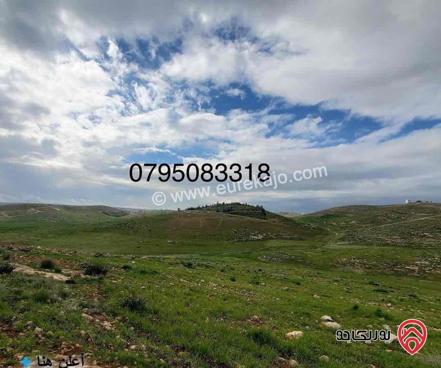أرض مساحة 10294م للبيع في عمان في منطقة شفا بدران زينات الربوع من المالك مباشره