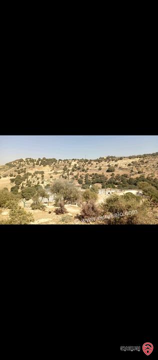 أرض مساحة 3 دونم و 400م للبيع في السلط - جلعد