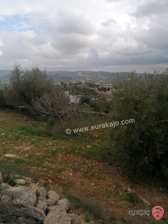 قطعة أرض مساحة 841م للبيع في عمان - بدر الجديدة مفروزة بقوشان مستقل مرتفعة ومطلة واصل كل الخدمات 