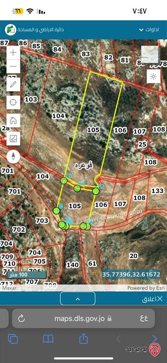 مزرعة زيتون مساحة 30 دونم للبيع في اربد - فوعره سعر الدونم 4000 دينار