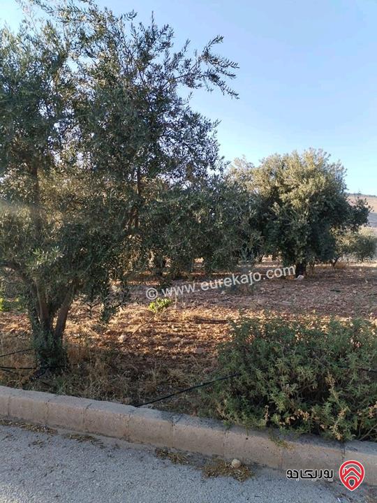 مزرعة مساحة الأرض 2 دونم و 500م والبناء 250م للبيع من أراضي شمال عمان - موبص