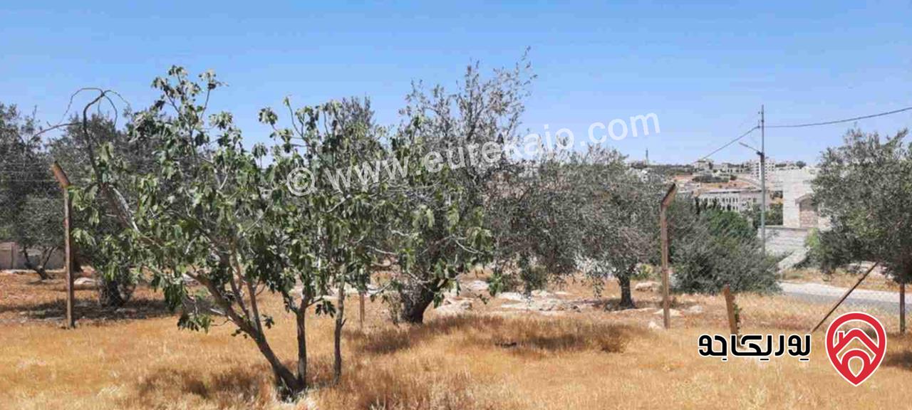 أرض مساحة 1 دونم و 43م للبيع في عمان - شفا بدران من المالك مباشرة