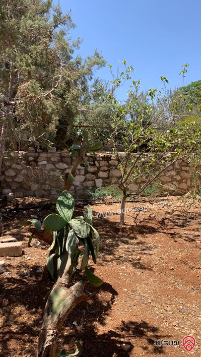 مزرعة مساحة الأرض 2 دونم للبيع بدون منزل في جرش حي الجبارات