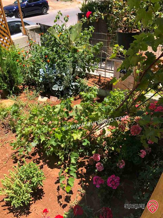 شقة مساحة 175م داخلي و 100م خارجي للبيع في عمان - الدوار السابع 