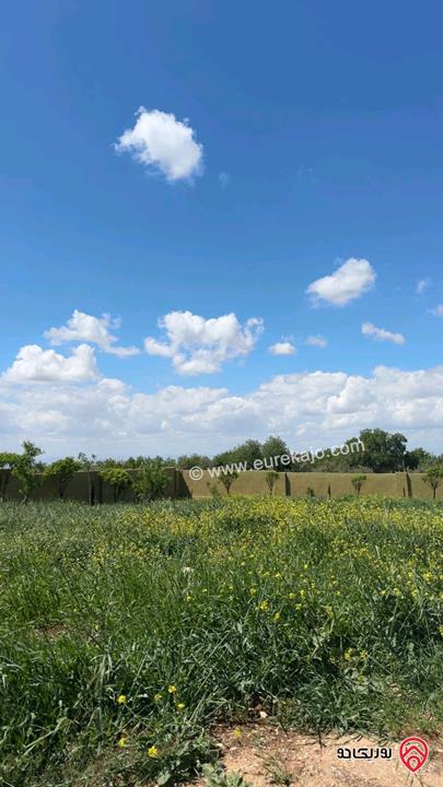 فيلا ومزرعة مفروشة مساحة 200م على أرض 2 دونم للايجار في اربد - طريق البترول منطقة هادئة وجميلة ومستقلة