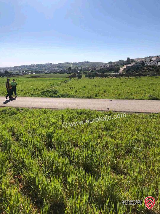 مزرعة مساحة 11128م للبيع في المفرق - منطقة بلعما 