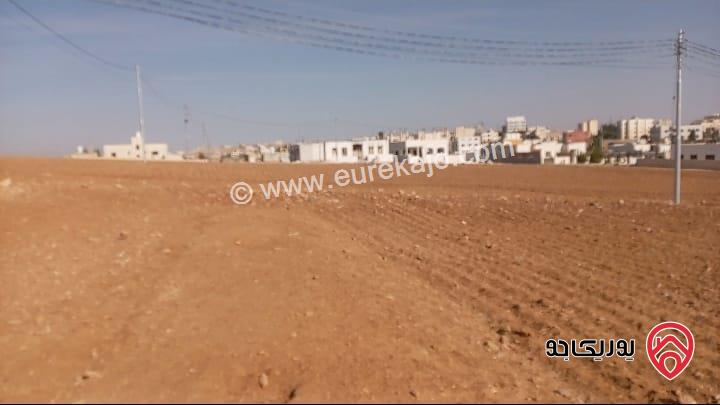 ارض مساحة 500م للبيع في عمان - البيضاء حوض الجواميس 