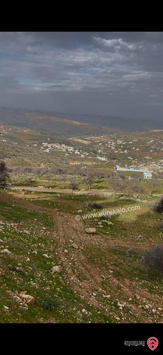 ارض مساحة 3 دونم و 750م للبيع في الزرقاء - العالوك