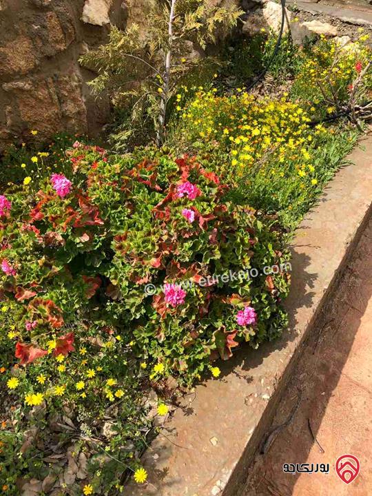 مزرعة مساحة دونم للبيع في الزرقاء - صروت 