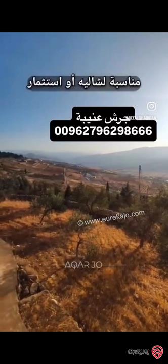 قطعة ارض استثمارية مساحة 3 دونم و 400م للبيع في جرش عنيبة