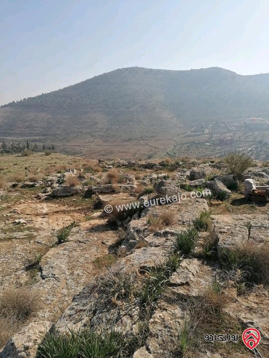 ارض مساحة 1 دونم و 263م اطلالة بانوراما للبيع في الزرقاء - بيرين