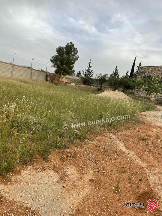 قطعة أرض مميزة مساحة 5 دونم للبيع في عمان - ناعور المشقر