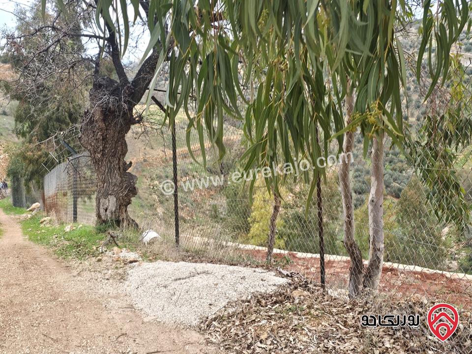 ارض مساحة 4 دونم و 650م للبيع في السلط  الصبيحي – حوض أبو الهيل