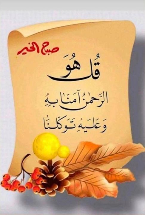 محمد المحسيري