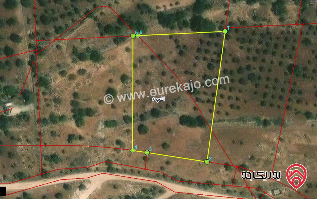 قطعة ارض مساحة 3642م للبيع في اربد غرب مدينة النعيمة 