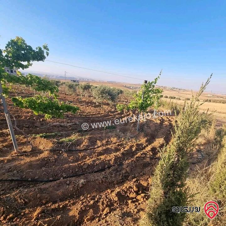 أرض زراعية مساحة 25 دونم للبيع في الكرك - فقوع
