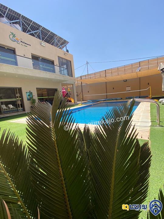 شاليه - مزرعة Palmera rama dead sea chalet للايجار اليومي في البحر الميت
