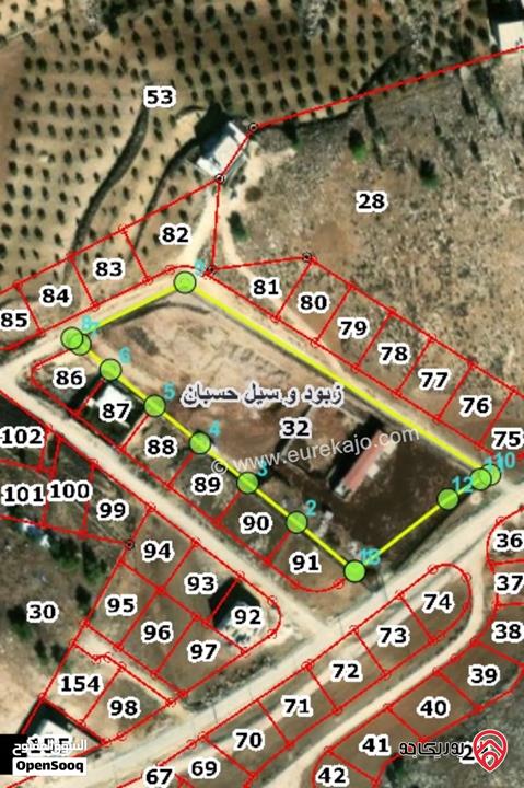 أرض مساحة 10 دونم و 500م للبيع في عمان - حسبان