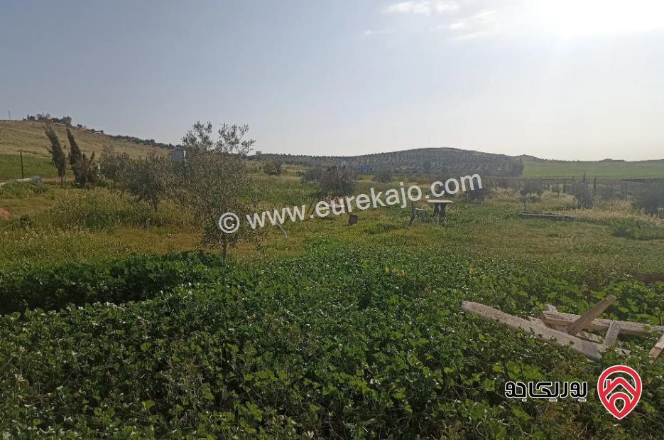 مزرعة مساحة الأرض 3850م والبناء 70م للبيع في المفرق - بلعما	