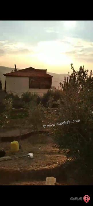 ارض مساحة 546م للبيع في عمان - ناعور زبود وسيل حسبان