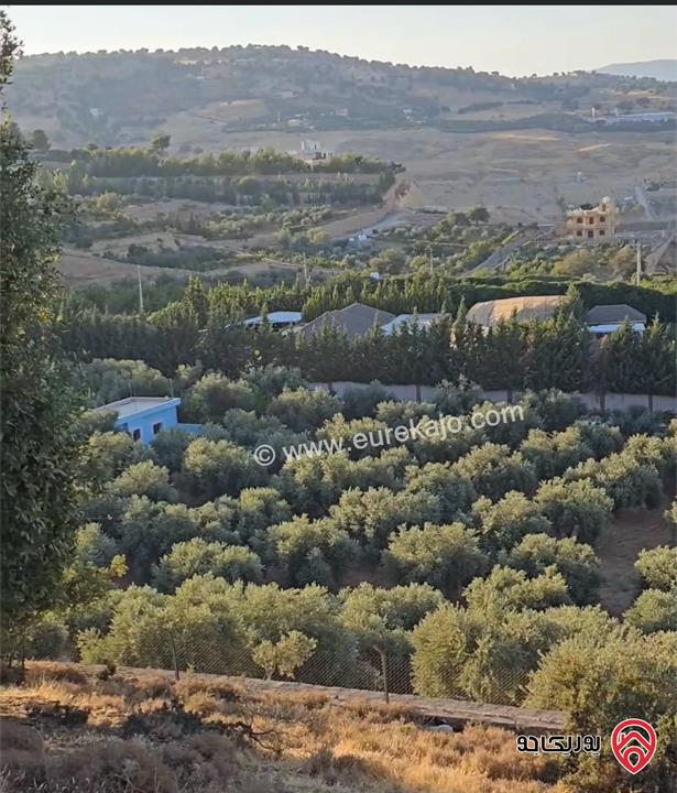 قطعة أرض مميزة جدا مساحة 5 دونم للبيع في السلط جلعاد 