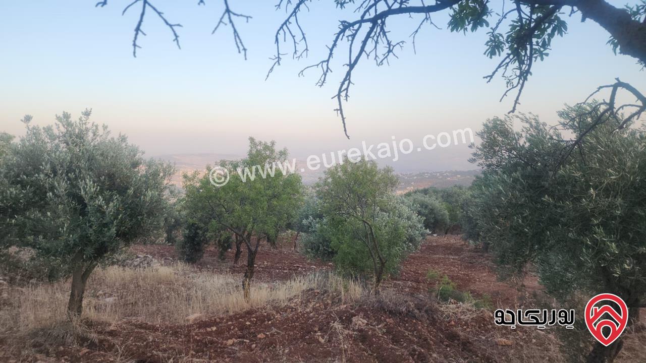 قطعة ارض مساحة 3483م للبيع في جرش - سوف بإطلالة خلابة وسط الطبيعة وهدوء الأحراش