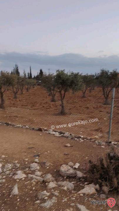 ارض مساحة 4 دونم و 500م للبيع في عمان - ام العمد حوض الحوام 