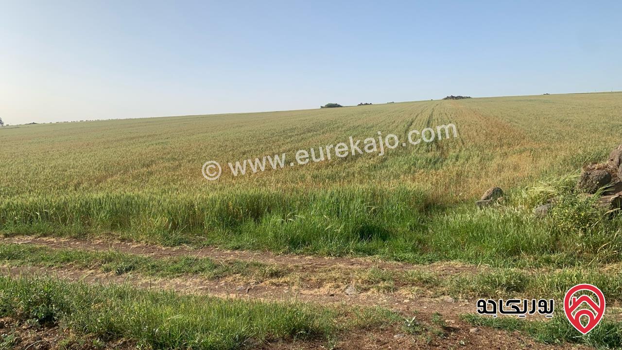 قطعة ارض مساحة 10 دونم للبيع شمال مدينة اربد منطقة ام قيس