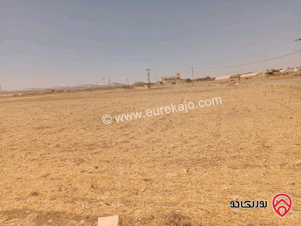قطعة ارض مساحة 33 دونم للبيع في مادبا - جرينه بالقرب من الجامعة الالمانية بسعر مغري جدآ 