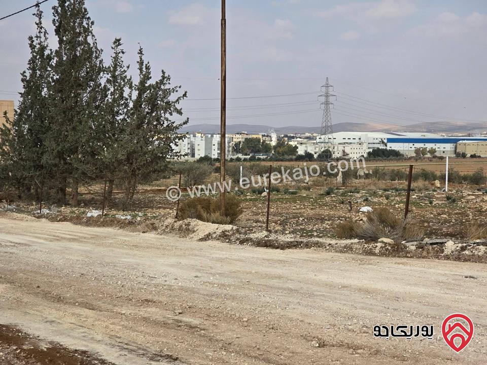 قطعتين ارض مميزات واستثماريات مساحة 902م للبيع في اربد - الرمثا مقابل مدينة الحسن الصناعية 