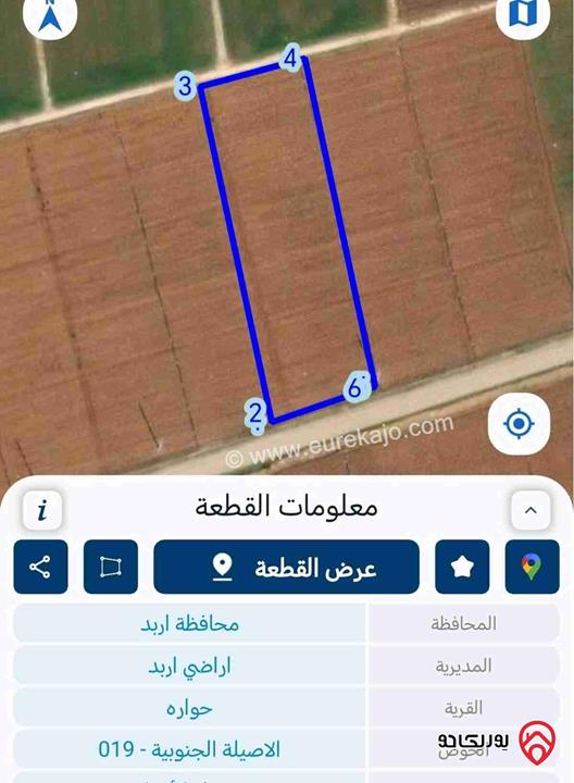 شقة أرض مساحة 4 دونم و 430م للبيع في اربد - حواره شارع ابو البصل 