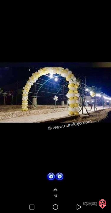 مزرعة فاخرة مساحة 17 دونم للبيع في مادبا – منطقة الزعفران