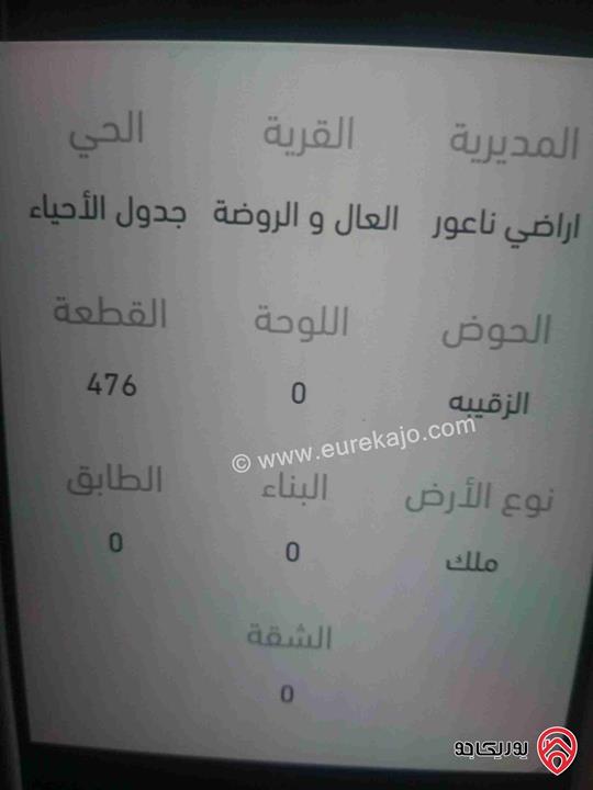 قطعتين أرض مساحة 500م لكل قطعة للبيع في عمان - ناعور- الروضة