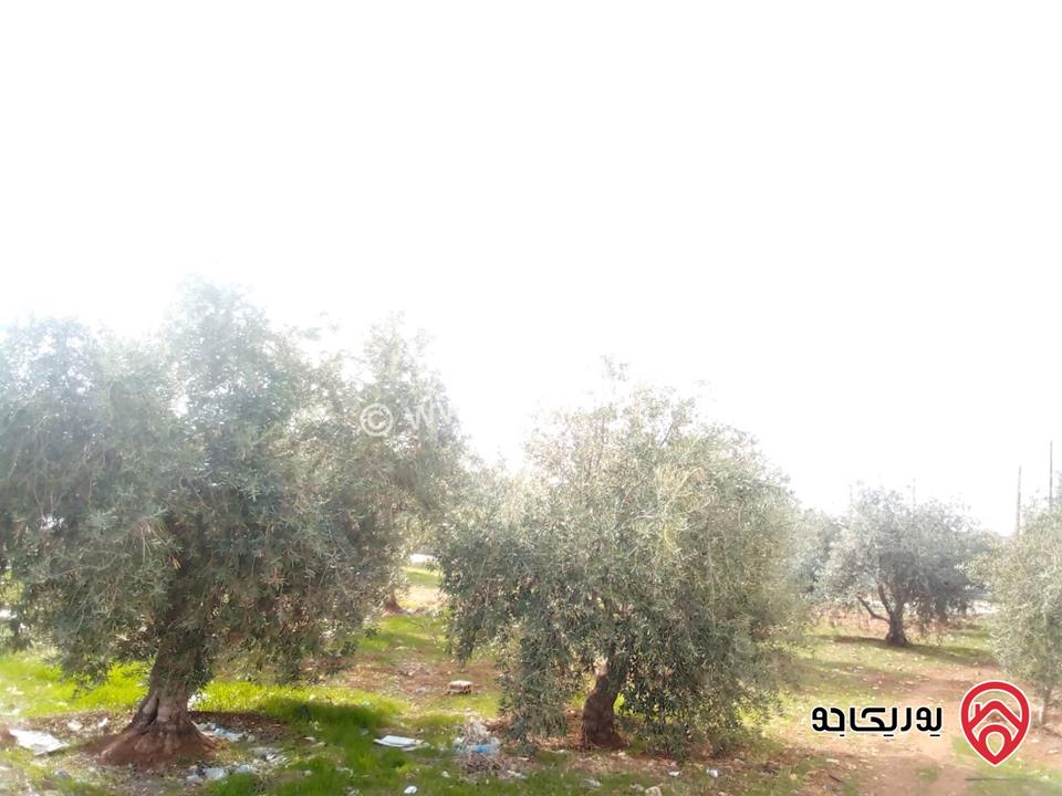 قطعة أرض مساحة 728م للبيع في المفرق - بلعما