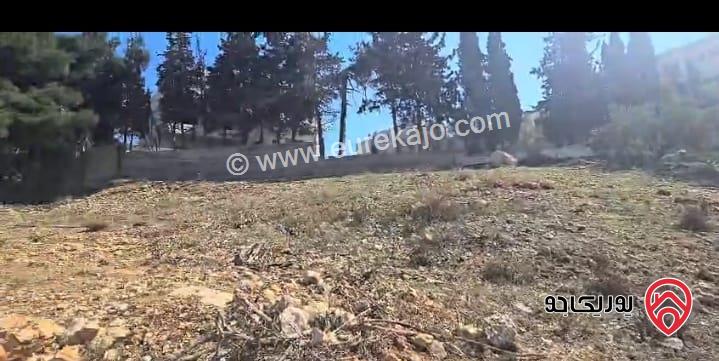 قطعة ارض سكن ب مساحة 1 دونم و 684م للبيع في عمان - خلدا