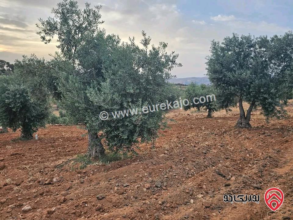قطعة أرض زراعية مساحة 4 دونم و 253م للبيع في السلط الصبيحي سيحان