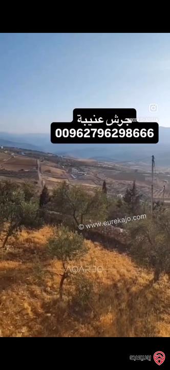 قطعة ارض استثمارية مساحة 3 دونم و 400م للبيع في جرش عنيبة